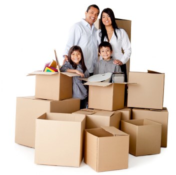 Inclusive navigation and usability for Crystal Palace Man And Van website