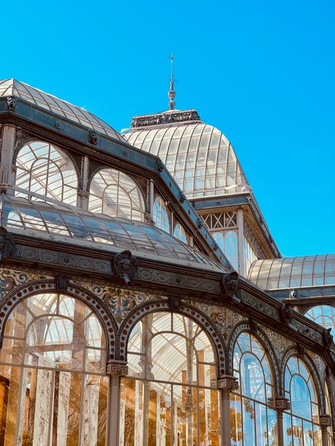 The image shows a close-up view of a historic glasshouse with ornate metal framing and large, curved glass panels reflecting sunlight, set against a bright blue sky. The structure features decorative arches and detailed metalwork along the edges of the glass panels. A tall, spire-like finial is visible atop the central dome of the conservatory. Inside the glasshouse, glimpses of plants can be seen through the transparent walls. This architectural style is typical of Victorian-era glass and iron greenhouses, associated with London's famous historic conservatories such as the Crystal Palace. The scene captures the intricate design and construction details of this classical horticultural structure, relevant for content related to house and garden preservation or restoration, as well as professional removals involving valuable or delicate architectural elements.